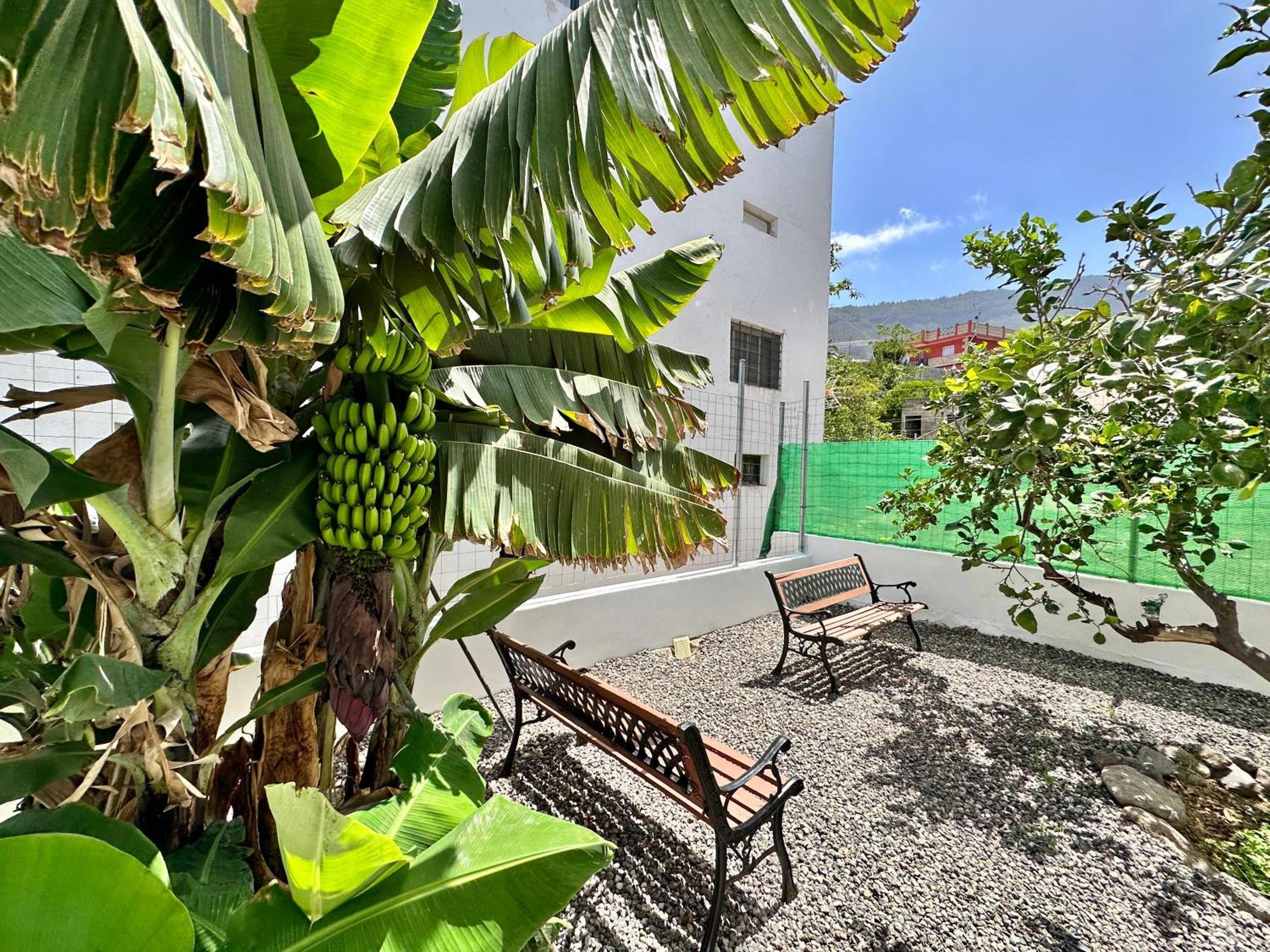 Ferienhaus Casa Tina Güimar
